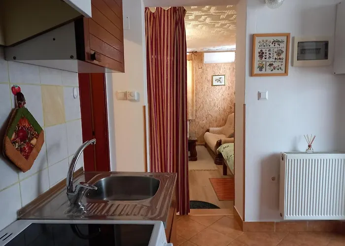 Apartma Boka * בובק